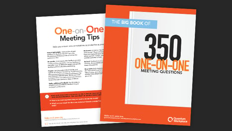 The Big Book of 350 One-on-One Meeting Questions