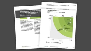 EX Management Platforms for Large Enterprises