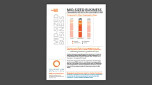 Mid-Sized Business Engagement Profile (250-5,000 Employees)