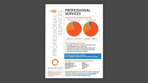 Professional Services Engagement Profile