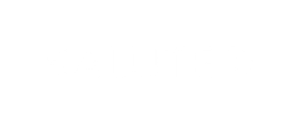 Salute