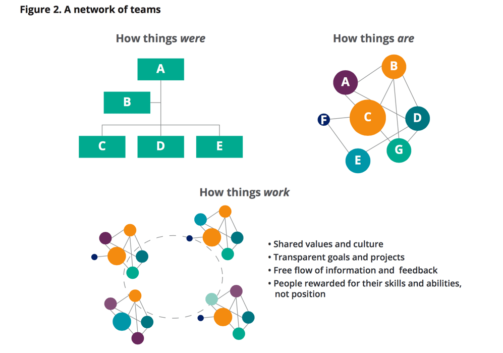 Network organisation. Организационная структура Делойт. Структура организации будущего. Deloitte структура компании. Deloitte структура управления.