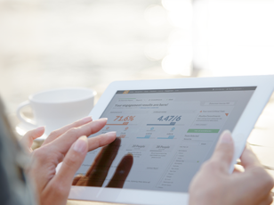 pulse survey best practices