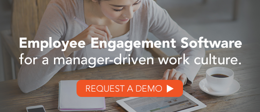Employee Engagement Software