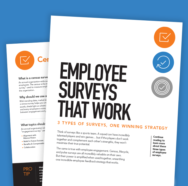 Cover page of the Employee Surveys that Work resource