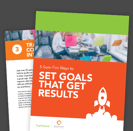 Ebook cover of the resource How to Set Goals that get Results
