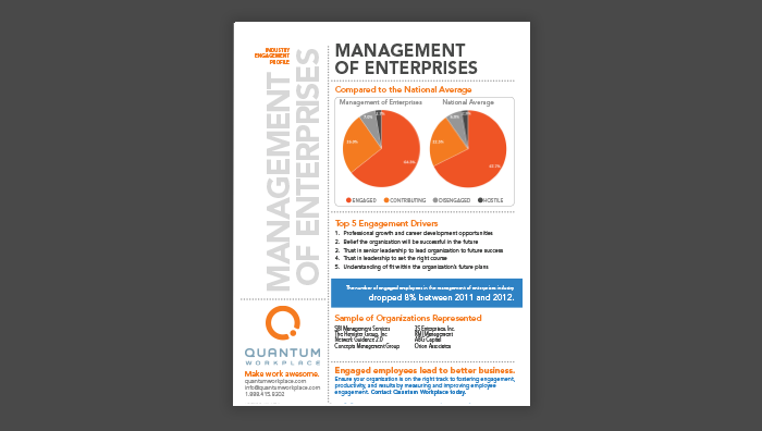 Management of Enterprises Engagement Profile