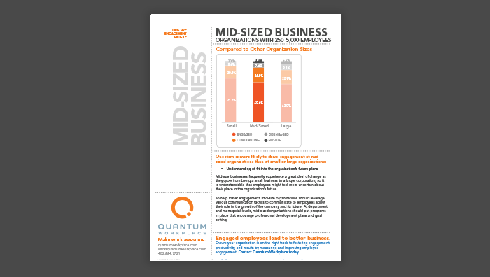 Mid-Sized Business Engagement Profile (250-5,000 Employees)