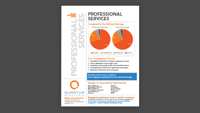 Professional Services Engagement Profile