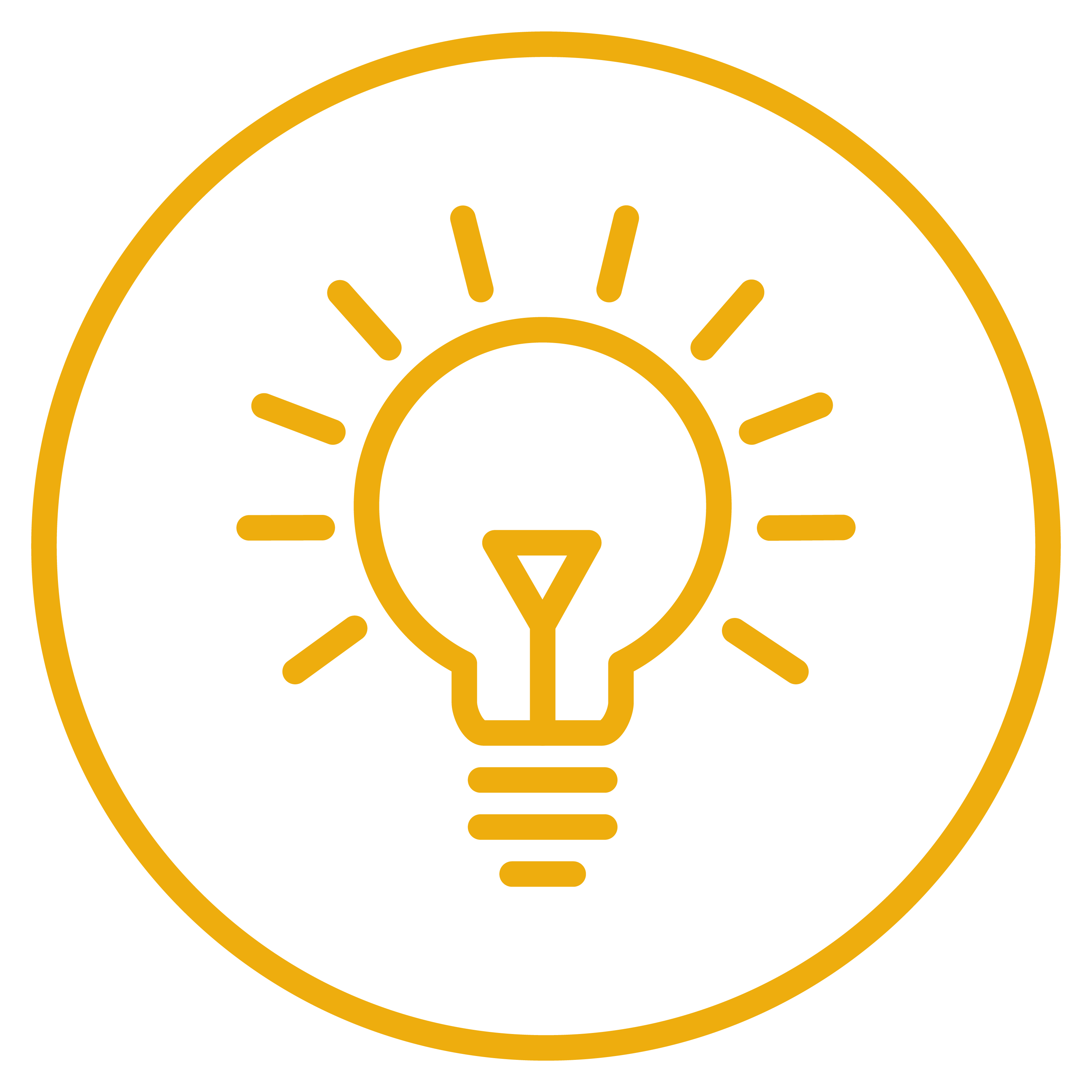 Intelligence icon showing a lightbulb